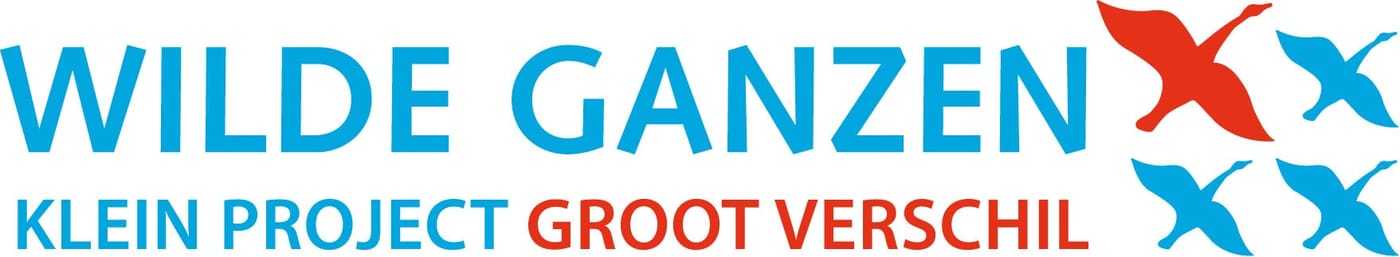 Wilde Ganzen